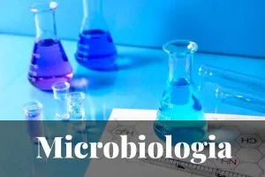 Los Mejores Máster en Microbiología